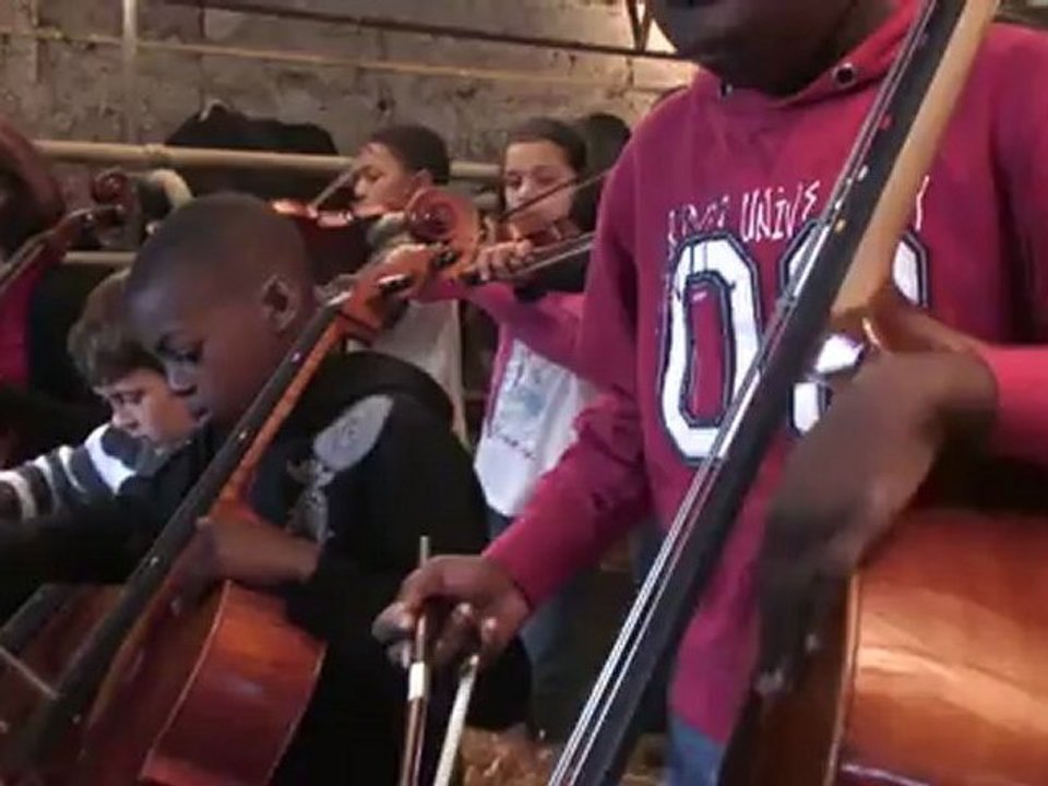 violons à la ferme