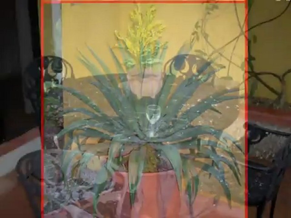 Rundreisehotel Mini yucatan Onlinebuchung @ http://www.VIP-Reisen.de