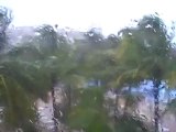 Riu Palace Riviera Maya Playa del Carmen Sturm Alex  Yucatan  Cancun Bilder Video www.Fella.de