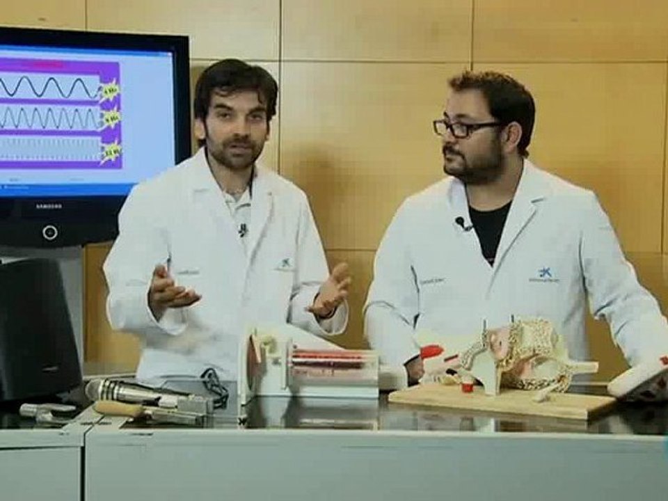 Percepcion auditiva
