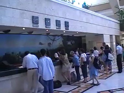 Riu Caribe Cancun Rezeption Halle Yucatan / Cancun Film Video von Hubert Fella VIP-Reisen.de