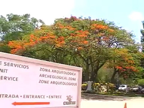 Uxmal Mini Yucatan Rundreise Tulum - The Mayan City TUI Rundreise Fella.de