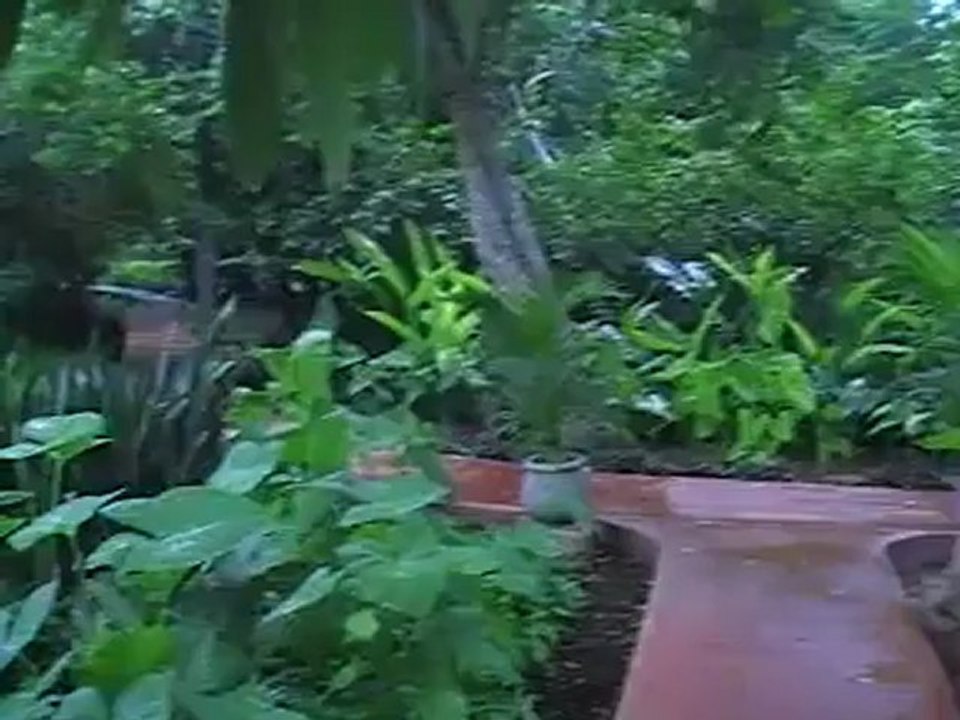 Rundreise Hotel Chichen Itza Mini Yucatan  The Mayan City TUI Rundreise www.Fella.de