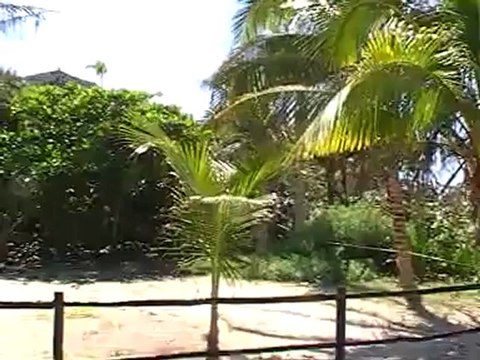 Tulum Mini Yucatan Rundreise Tulum -Tempelanlage am Strand The Mayan City TUI Rundreise Fella.de