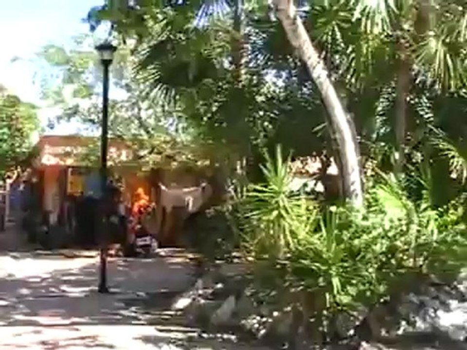 Tulum Mini Yucatan Rundreise Tulum - The Mayan City TUI Rundreise www.Fella.de