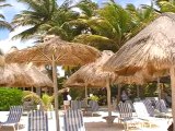 Las Palapas Hotel Mexiko Playa del Carmen, Yucatan Cancun Bilder Video Hubet Fella www.Fella.de