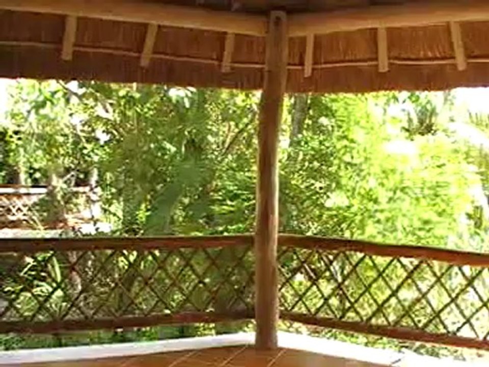 Las Palapas Hotel Mexiko Playa del Carmen, Yucatan Cancun Bilder Video Hubet Fella www.Fella.de