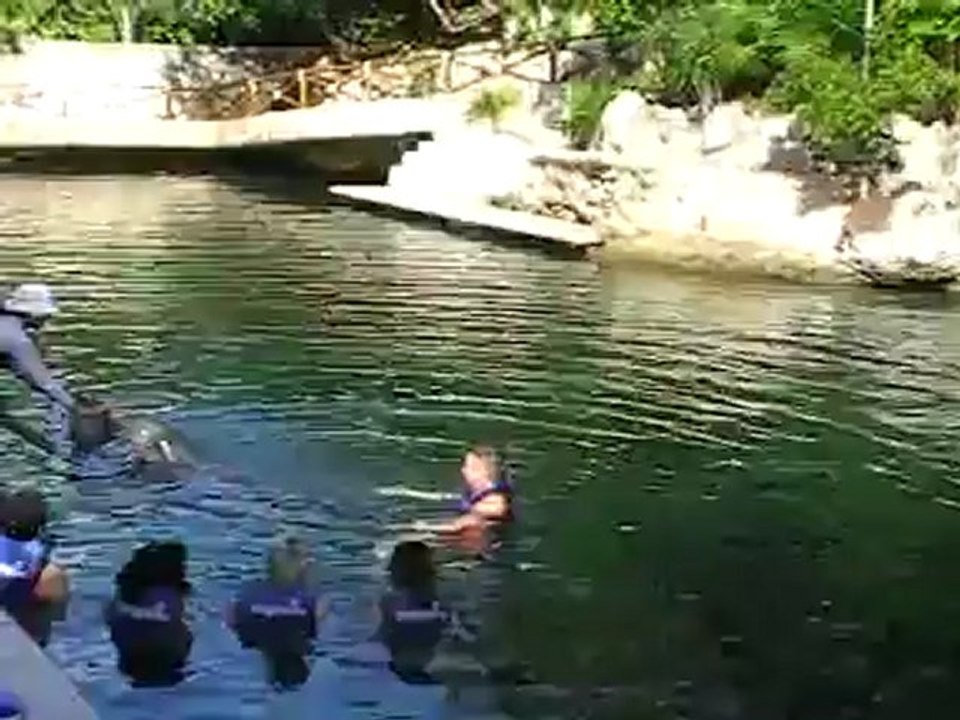 Hubert Fella beim Delfin schwimmen in Mexiko Playa del Carmen www.Fella.de