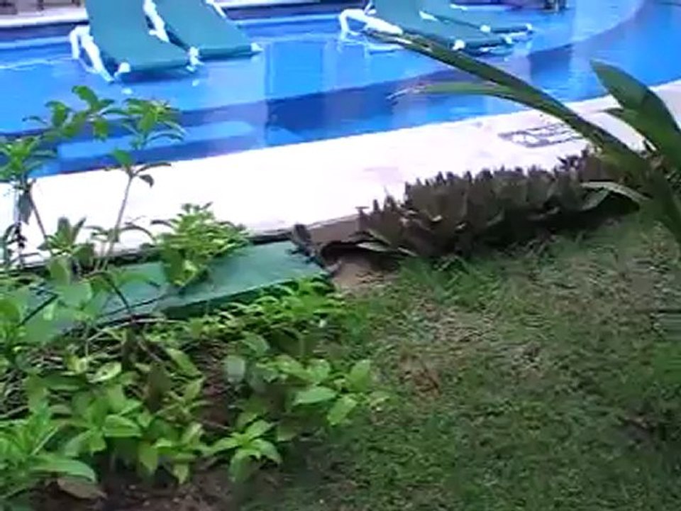 El Dorado Seaside Suites Playa Kantenah, Yucatan  Hallo Reception Cancun Bilder Video www.Fella.de