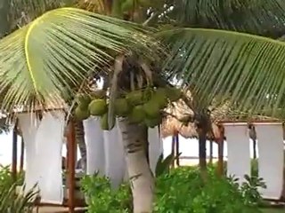 El Dorado Seaside Suites Playa Kantenah, Yucatan  Hallo Reception Cancun Bilder Video www.Fella.de