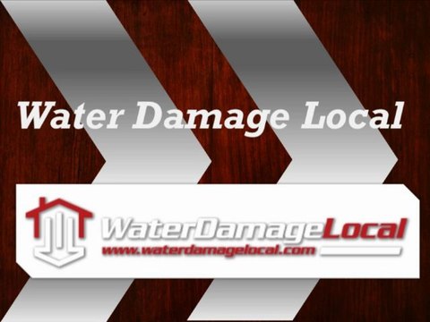 Basement Flooding Clean Up - Katy, TX