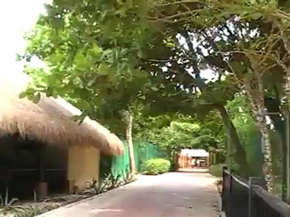 Riu Yucatan Riu Hotels Playa del Carmen, Yucatan Strand Cancun Bilder Video www.Fella.de