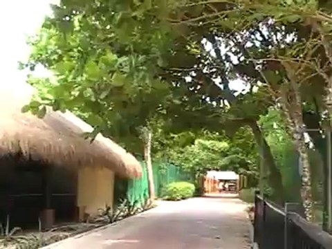 Riu Yucatan Riu Hotels Playa del Carmen, Yucatan Strand Cancun Bilder Video Fella.de