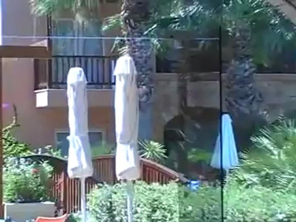 Kreta Hotel Grecotel Marine Palace Panormo Grecotel Marine Suites Film Video Hubert Fella