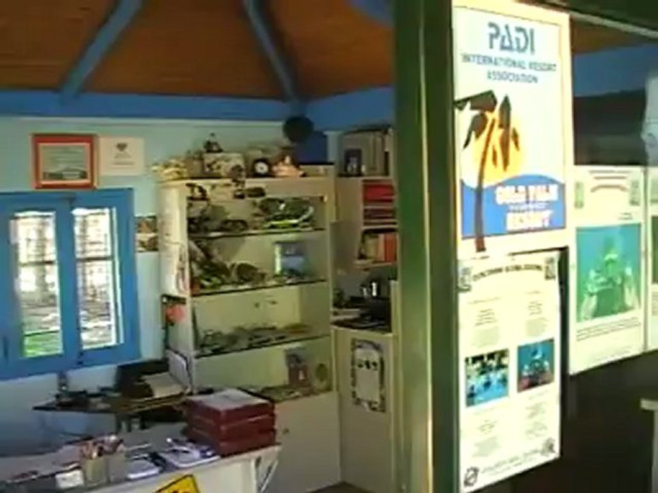 Kreta Hotel Aquila Rithymna Beach Tauchschule Atlantis Video Film www.Fella.de