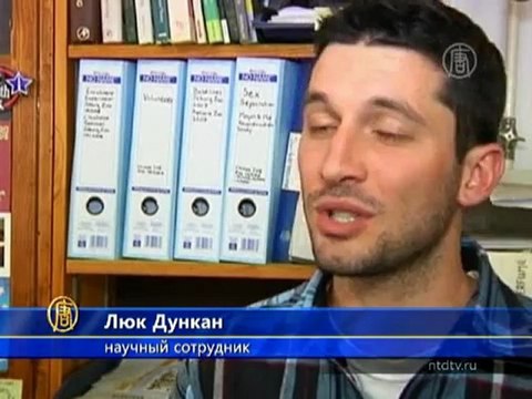 В заповеднике в ЮАР обезьяны покалечили студента