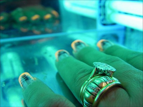 nail art lacet les trésors de l'ongle