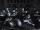 Nouvelle bande-annonce en VOST pour Frankenweenie de Tim Burton