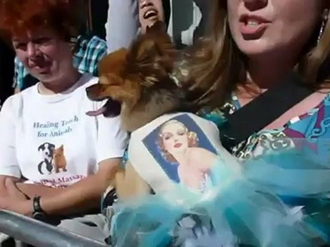 Canine star Uggie leaves paw print in Hollywood