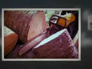 A Greener Image Tree Care - (719)924-9524