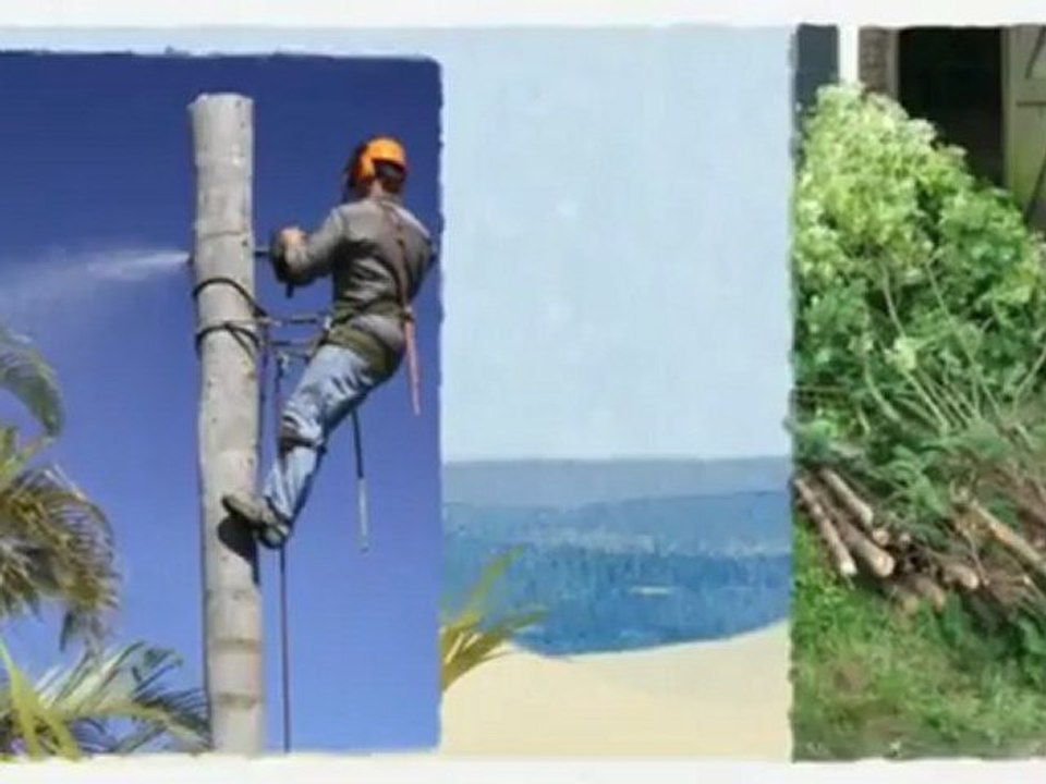 Lyons Tree Services (863) 382-1690