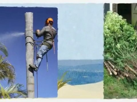 Lyons Tree Services (863) 382-1690