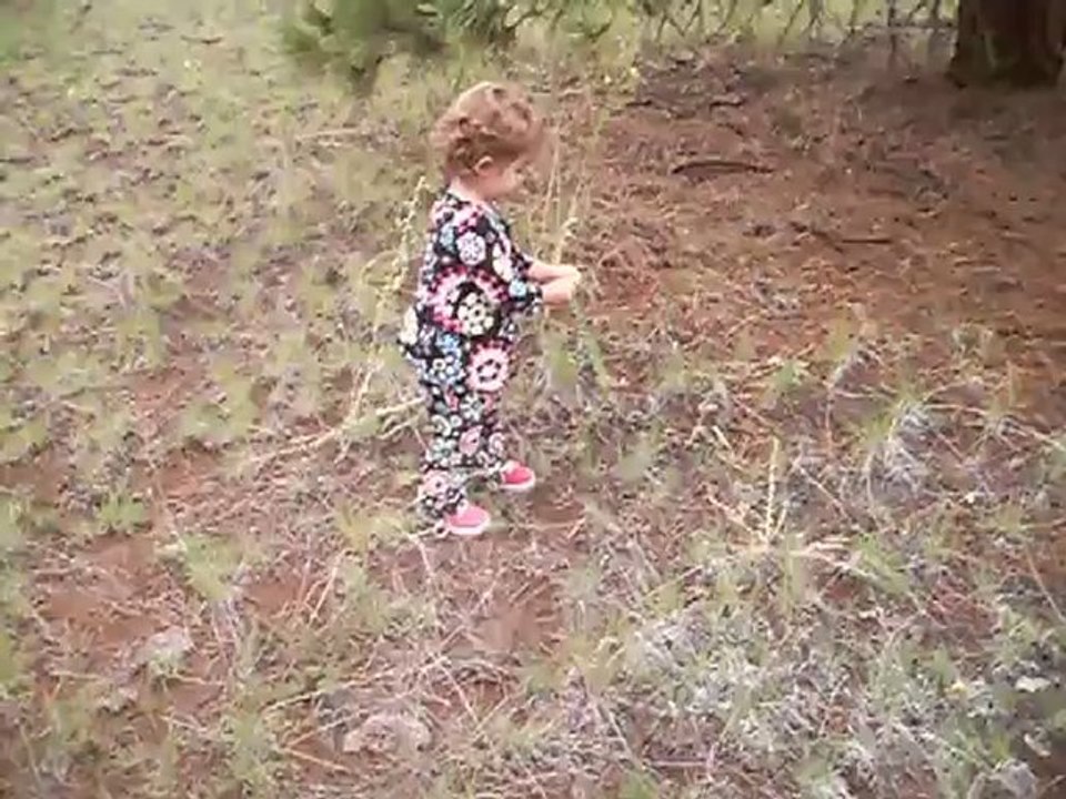 Looking For Wildflowers