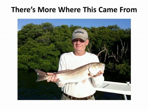 Saltwater-Fishing-Charter-Boats-Clearwater-Flats-Fishing-Tarpon Springs-Day Charter Fishing