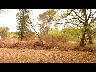 TRAILER 25 avril 2012