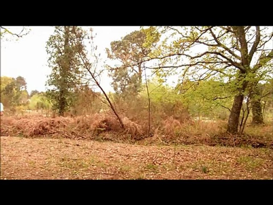 TRAILER 25 avril 2012
