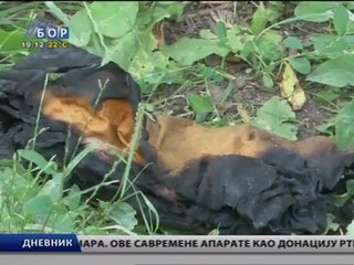 Dnevnik, 26. jun 2012.