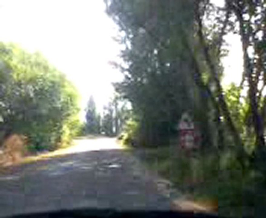 goyüncek