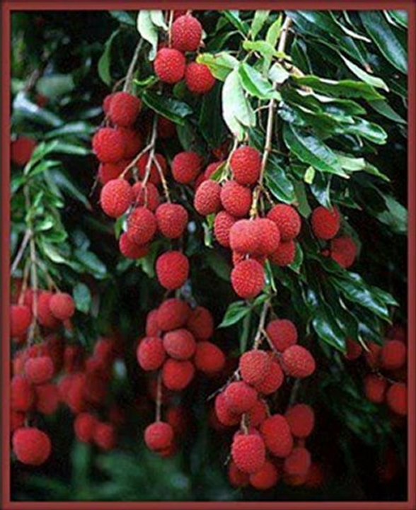 4 QUL BEAUTIFUL VOICE By SUDAIS . - YouTube