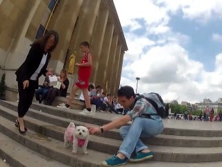 Enterrement de vie de garçon de Thibault