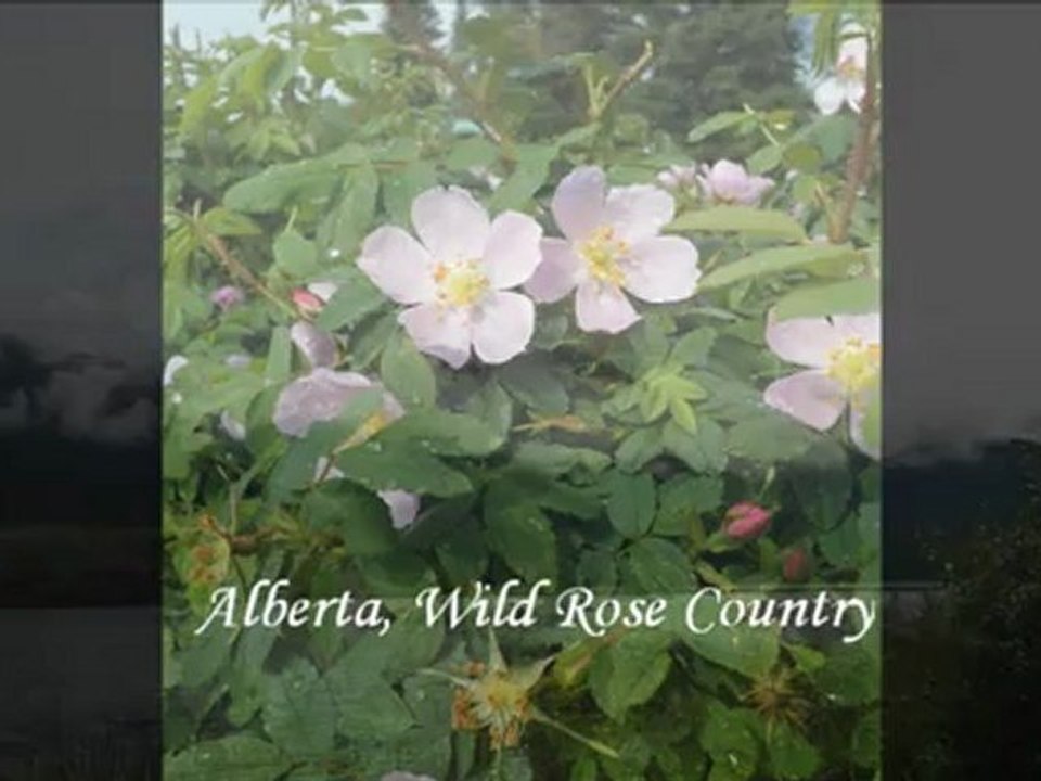 Sur la route... suite