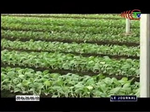 Visite des travaux de réhabilitation de la ferme de Kombé