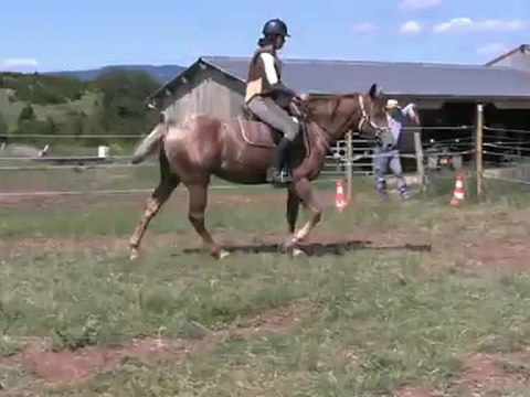 Uzege, au galop en carrière