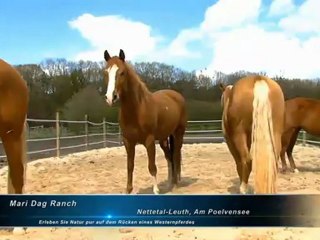 Handschuhe für Damen - setzen Sie farbige Akzente