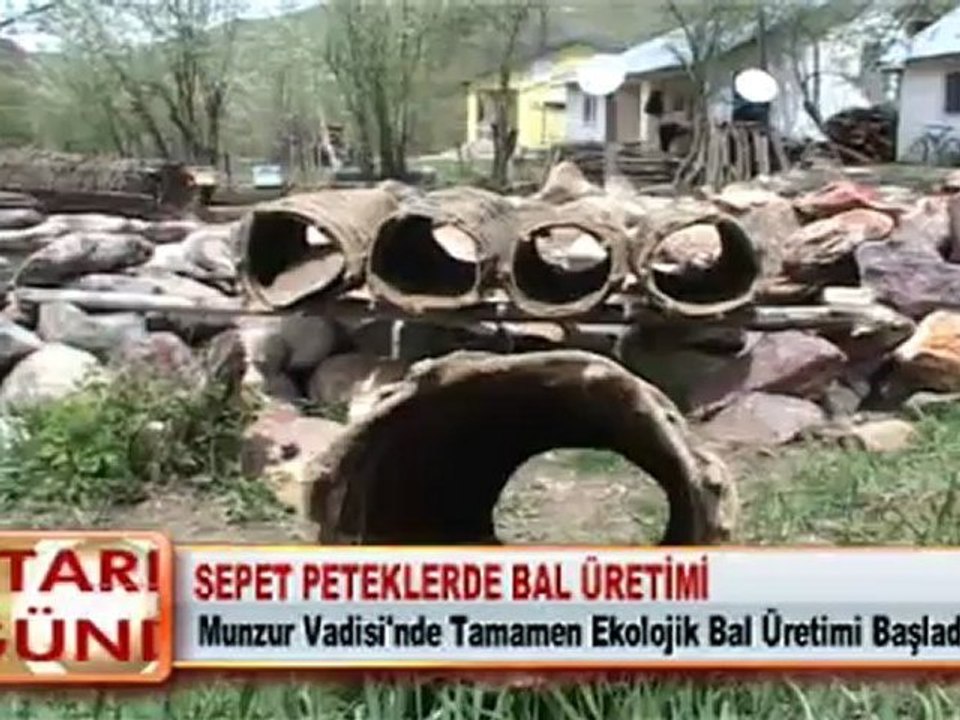 SEPET PETEKLERDE BAL ÜRETİMİ BAŞLATILDI