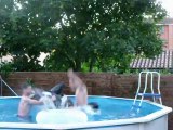 piscine entre frères