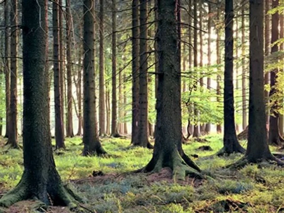 The all new ASUS Transformer Pad Infinity