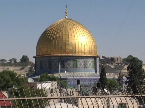 Palestine, FSM Dakar 2011 : épilogue