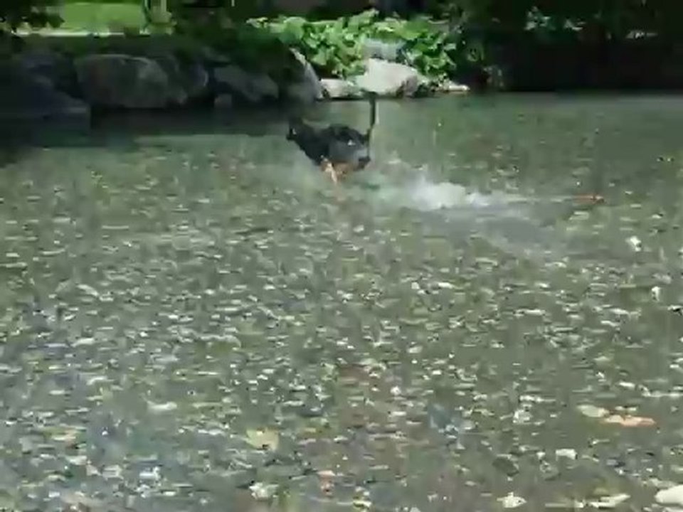 FILMWeek-end à ALBERTVILLE du 21 au 24 06 2012 001