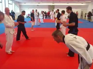 taekwondo cassage planche 1