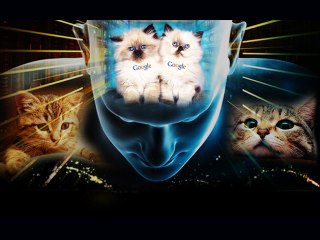 Google's AI Brain Loves Watching Cat Videos 🧠😺
