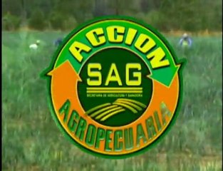 Programa Acción Agropecuaria de la Secretaría de Agricultura y Ganadería - SAG, Canal 8 TNH. 25 de junio del 2012.