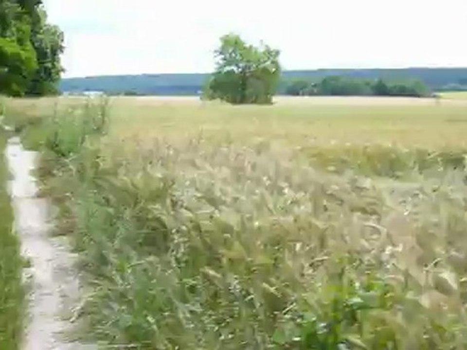 Francilie 1