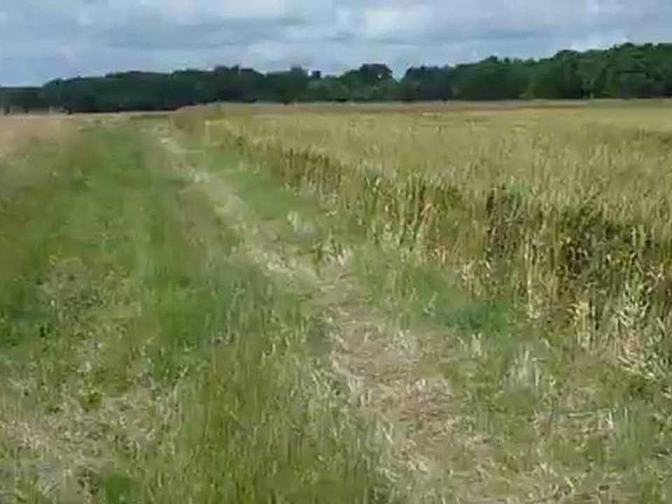 Francilie 2