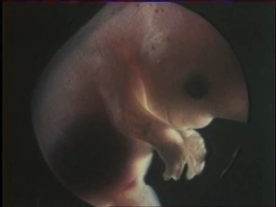 La réédition d'Au Régal des Vermines est disponible sur marcedouardnabe.com !