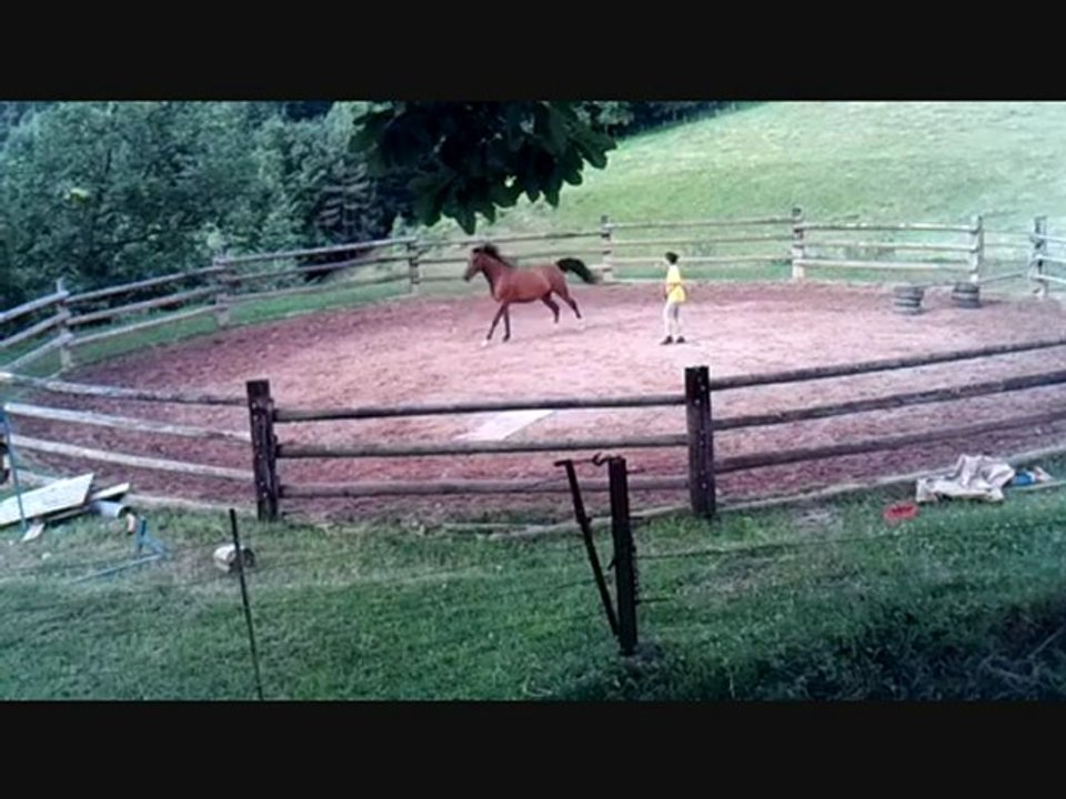 Rond de longe 27-06-12